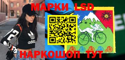 эйфоретик Донской