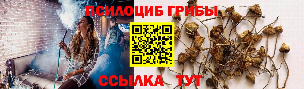 Лыткарино  наркошоп  Псилоцибиновые грибы Psilocybine cubensis  Вход с VPN  Галлюциногенные грибы мухоморы 